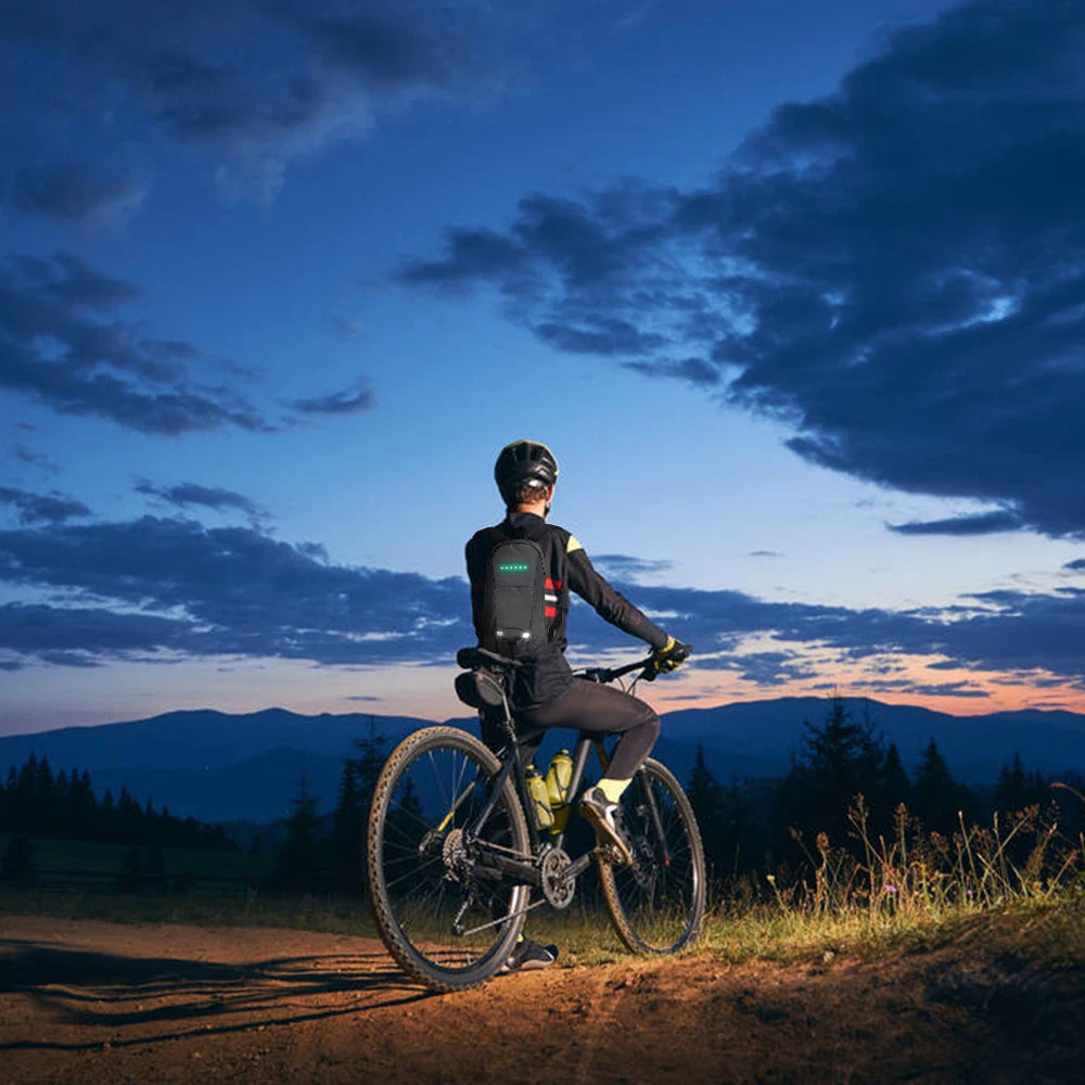 Ferrara LED Backpack